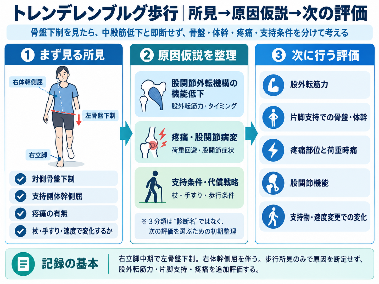 トレンデレンブルグ歩行の所見・原因仮説・次の評価をまとめた図版