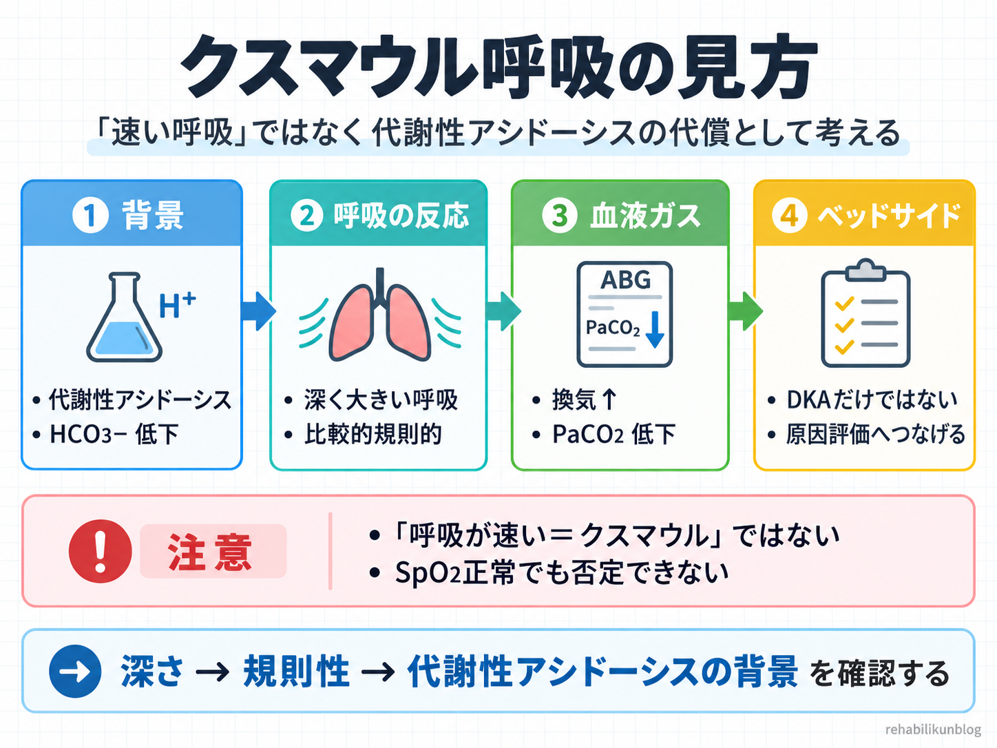 クスマウル呼吸の見方。代謝性アシドーシスとHCO3低下を背景に深く大きな規則的呼吸が起こり、換気増加によってPaCO2が低下する流れとベッドサイド評価を示す図