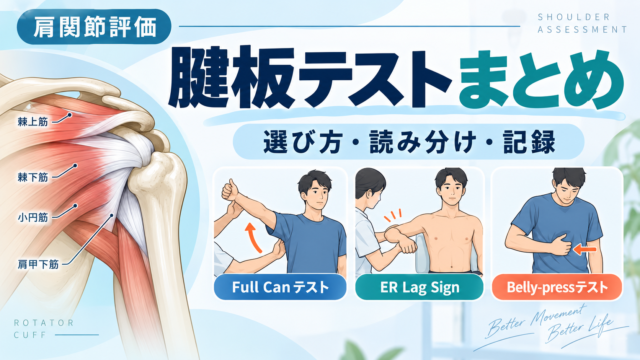 腱板損傷のテスト｜棘上筋・棘下筋・肩甲下筋の評価 | rehabilikun