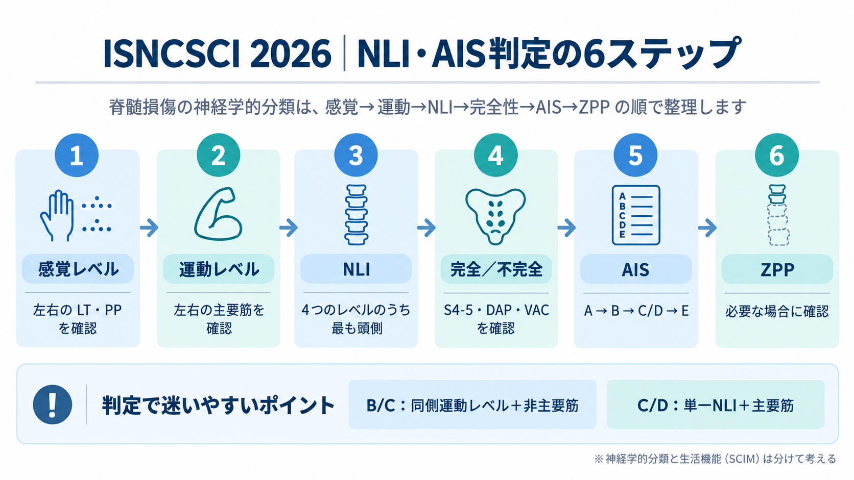 ISNCSCI 2026のNLI・AIS判定を感覚レベル、運動レベル、NLI、完全不完全、AIS、ZPPの6ステップで整理した図版