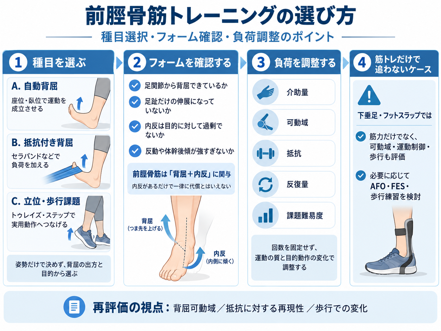 前脛骨筋トレーニングの選び方。種目選択、フォーム確認、負荷調整、下垂足やフットスラップで筋トレだけで追わない場合を整理した図
