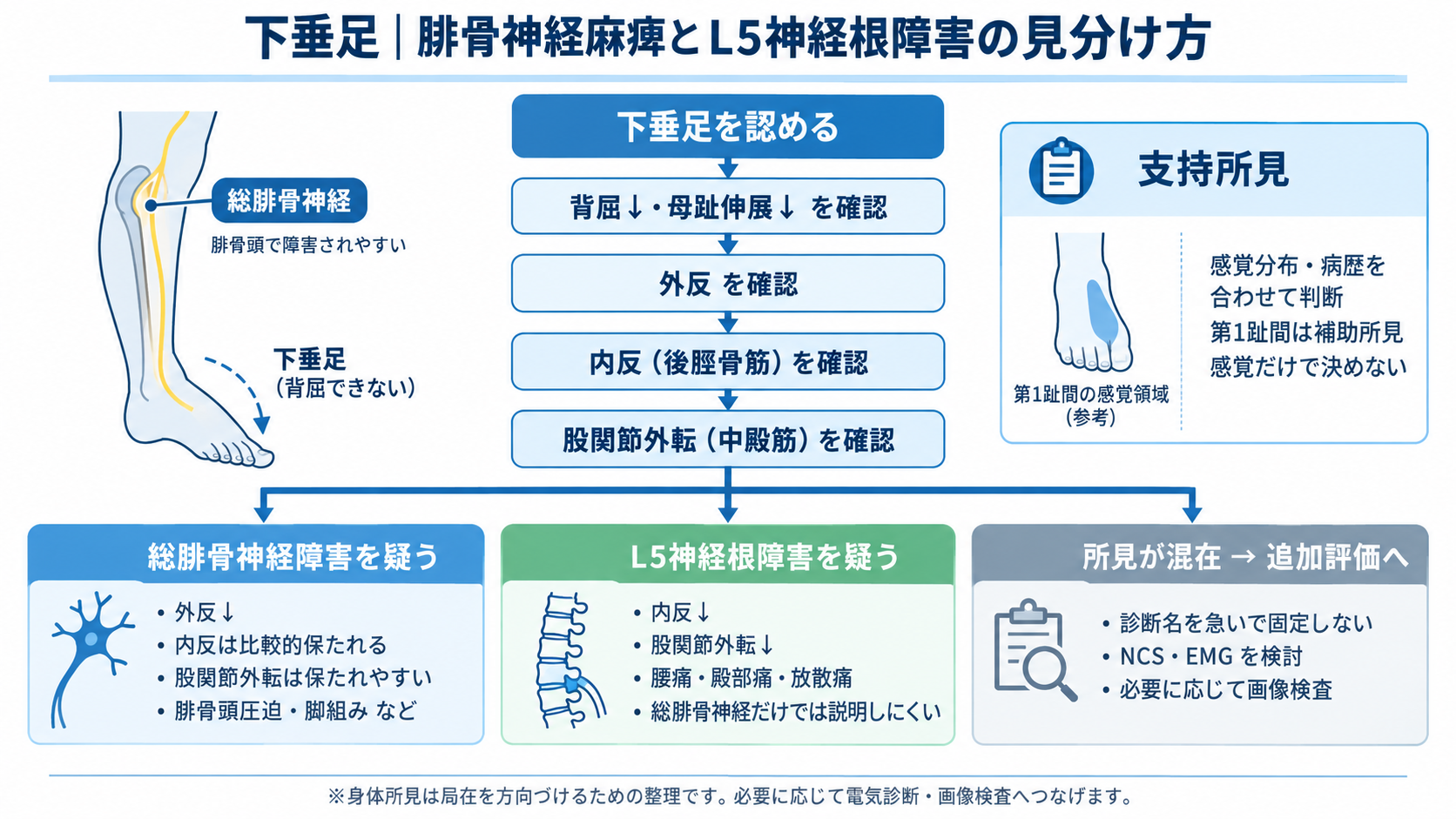 下垂足で腓骨神経麻痺とL5神経根障害を見分けるためのフローチャート