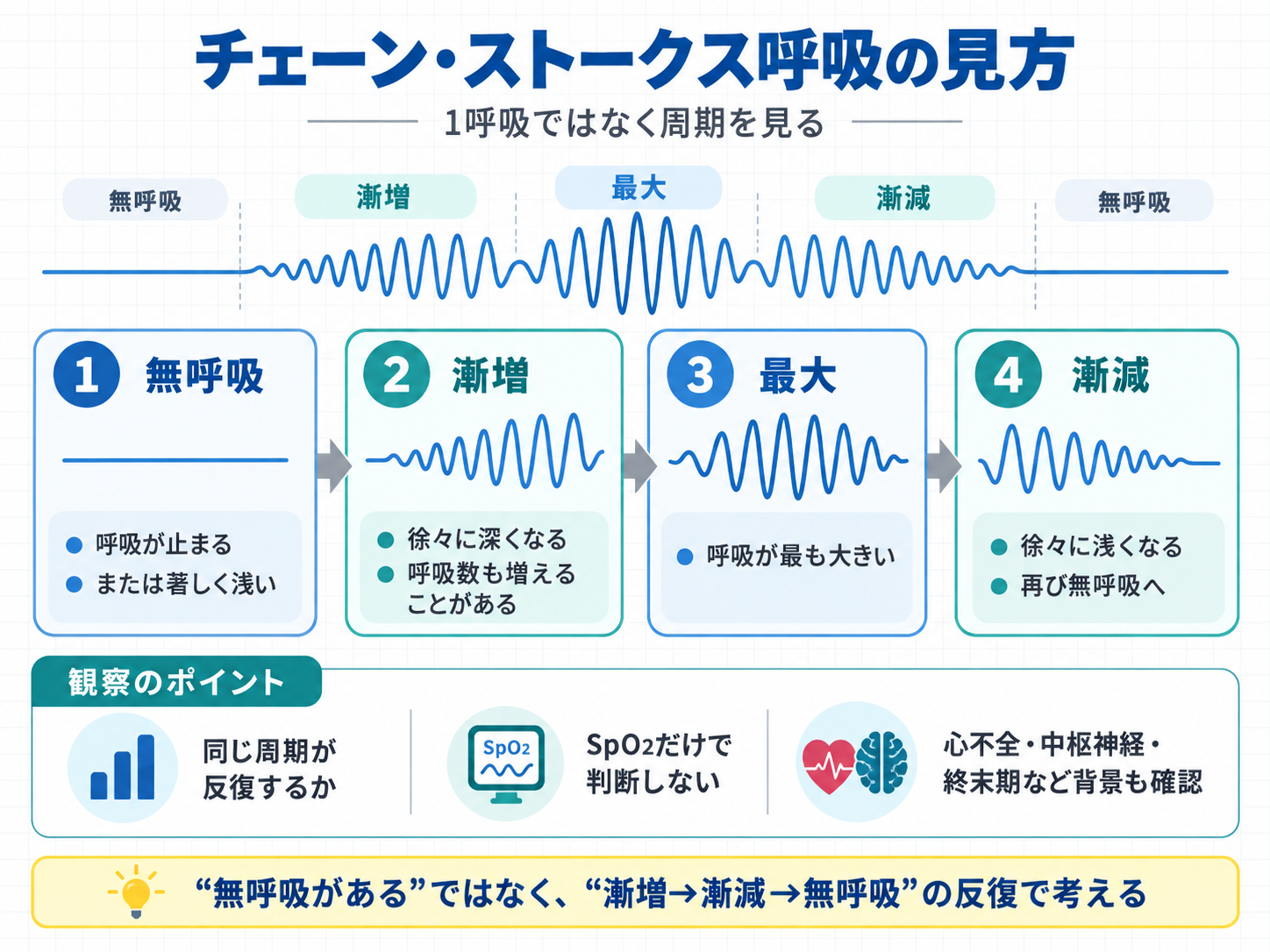 チェーン・ストークス呼吸の見方。無呼吸から呼吸が徐々に深くなり、最大となった後に徐々に浅くなって再び無呼吸へ移行する周期性呼吸を示す図