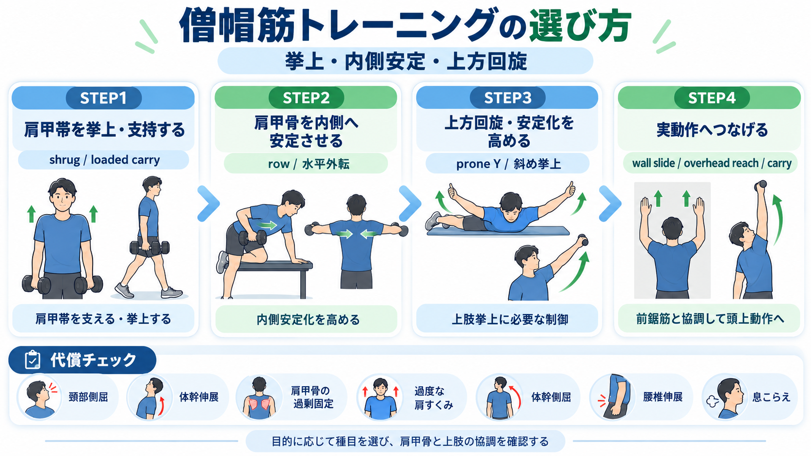 僧帽筋トレーニングを肩甲帯挙上、内側安定、上方回旋、実動作の4段階で示した図