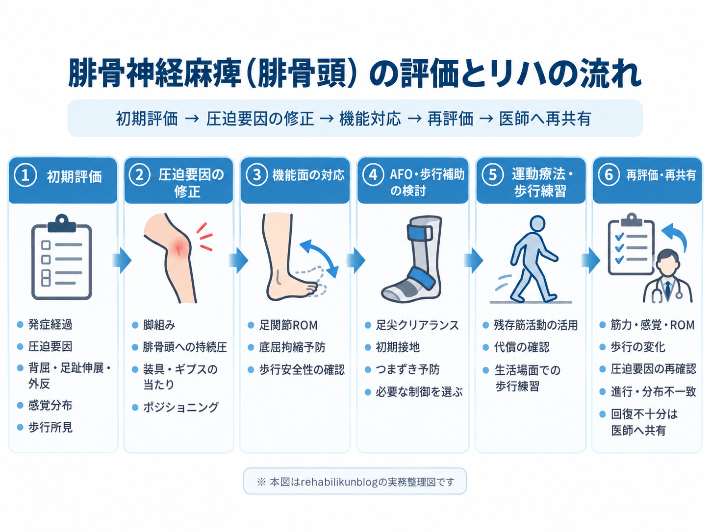 腓骨神経麻痺（腓骨頭）の評価とリハの流れ