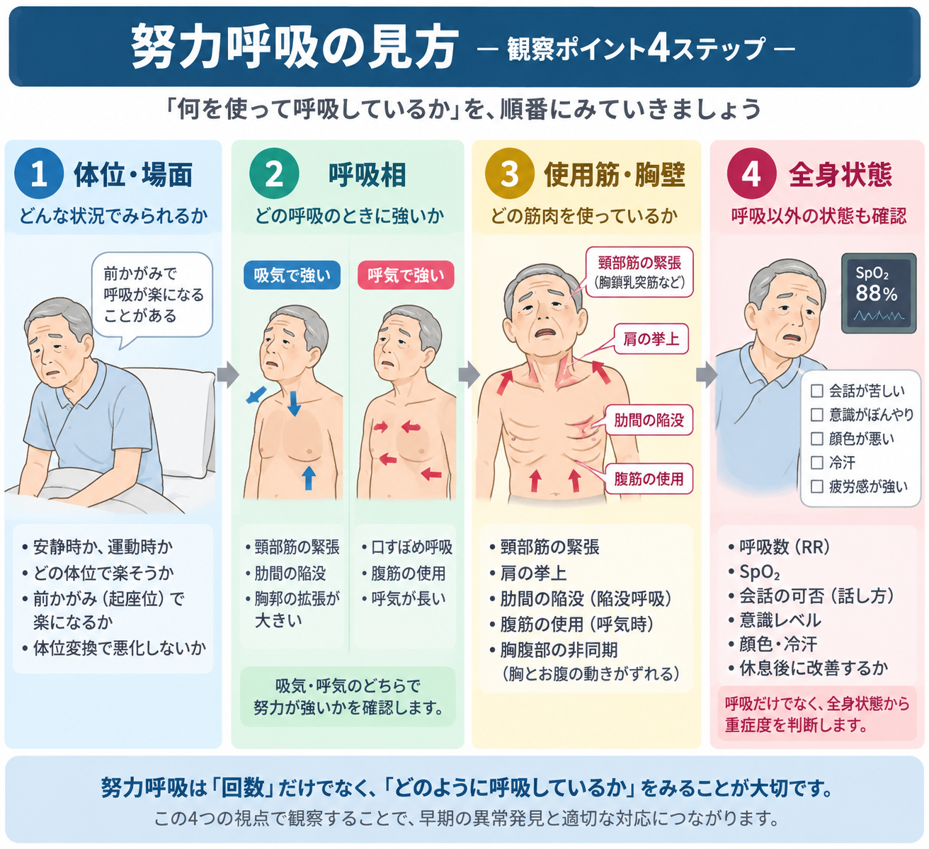 努力呼吸の見方。体位と場面、吸気・呼気の呼吸相、頸部筋・肩・腹筋や胸壁運動、SpO2・会話・意識など全身状態を4段階で確認する流れ