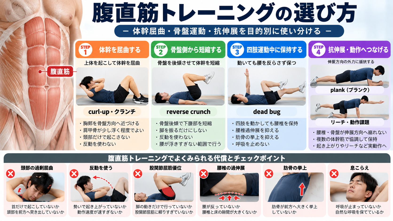 腹直筋トレーニングを体幹屈曲、骨盤運動、四肢運動中の保持、抗伸展・動作の4段階で示した図