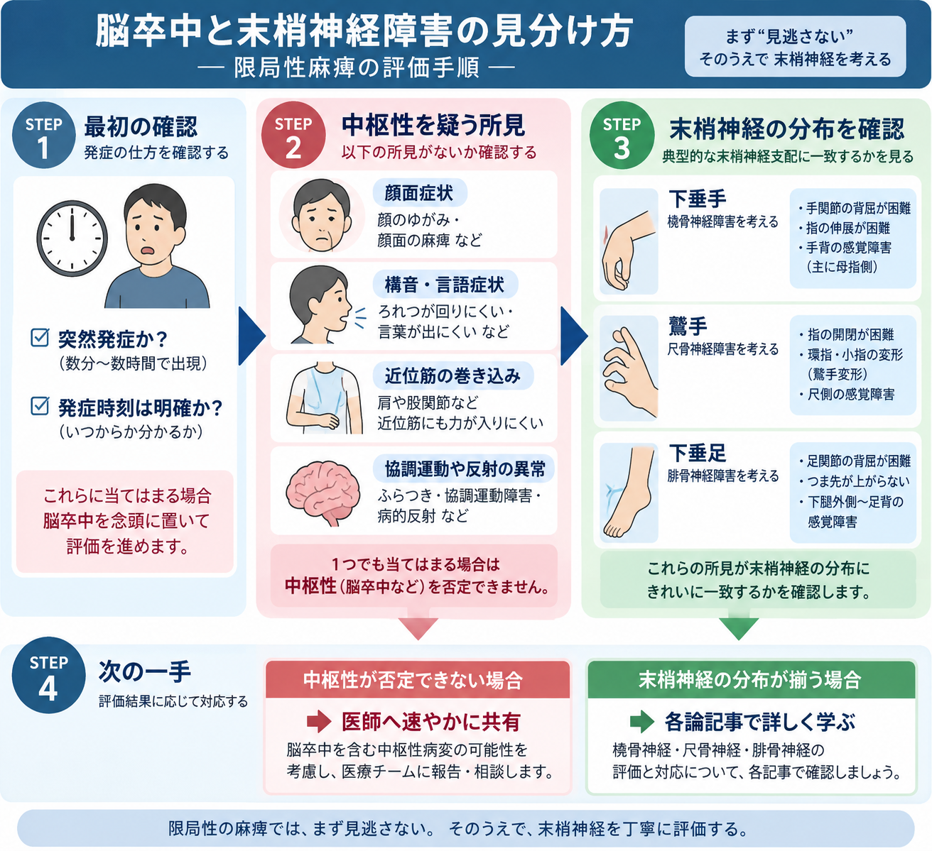 脳卒中と末梢神経障害の見分け方を発症様式・中枢所見・末梢神経分布の順に整理した図版