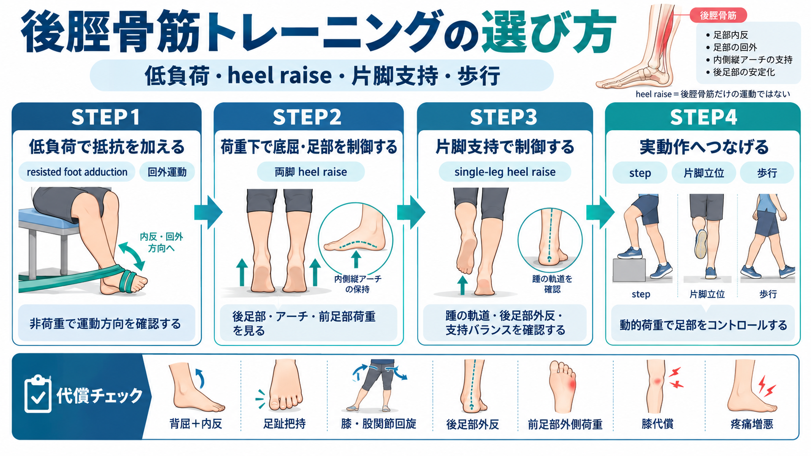 後脛骨筋トレーニングを低負荷運動、両脚ヒールレイズ、片脚支持、歩行の4段階で示した図