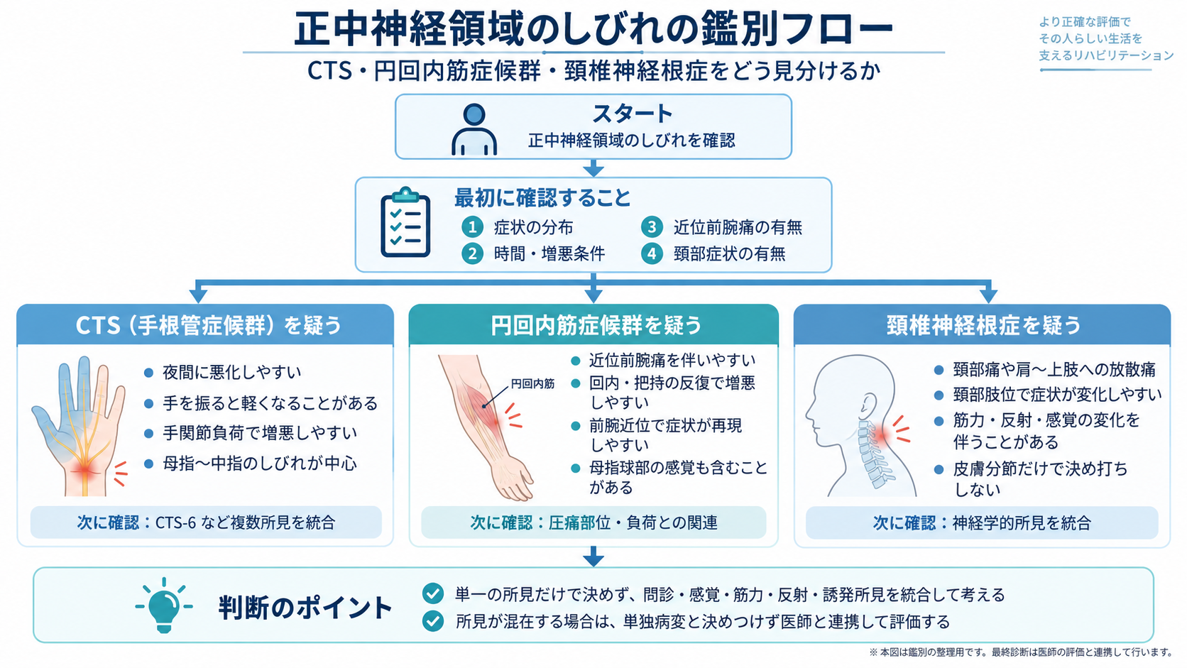 正中神経領域のしびれをCTS、円回内筋症候群、頚椎神経根症に分けて考える鑑別フロー
