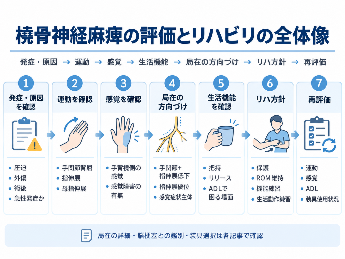 橈骨神経麻痺の評価とリハビリの全体像。発症・原因、運動、感覚、局在、生活機能、リハ方針、再評価の流れ