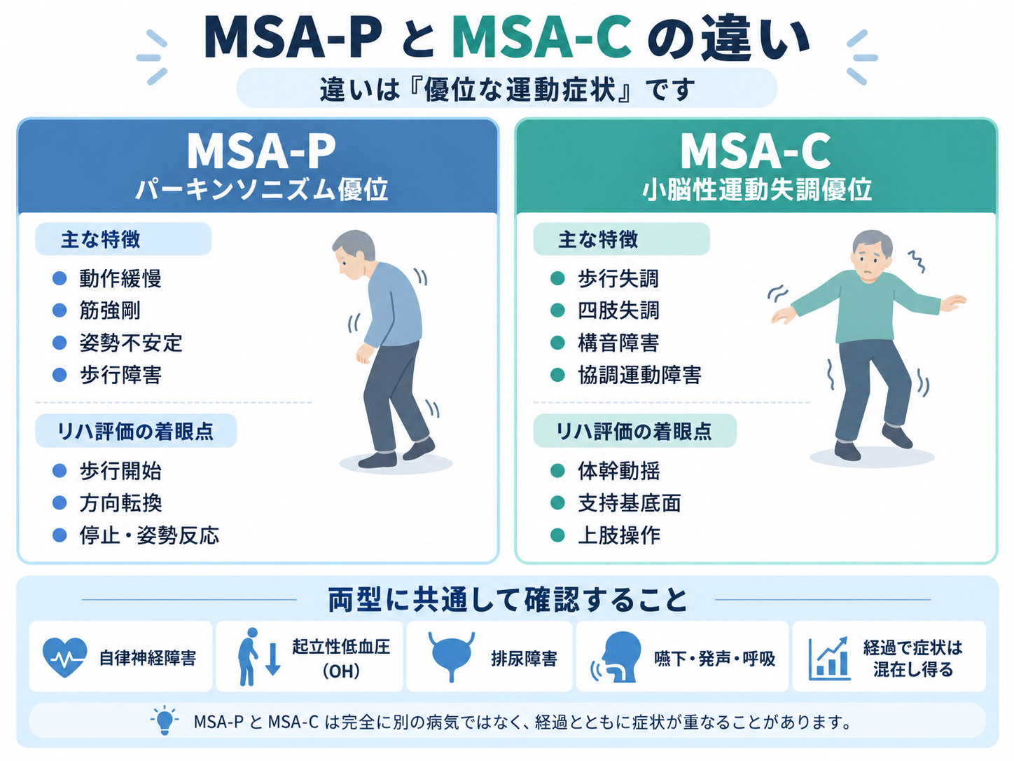 MSA-PとMSA-Cの違いを、優位な運動症状と両型に共通して確認する症状で比較した図