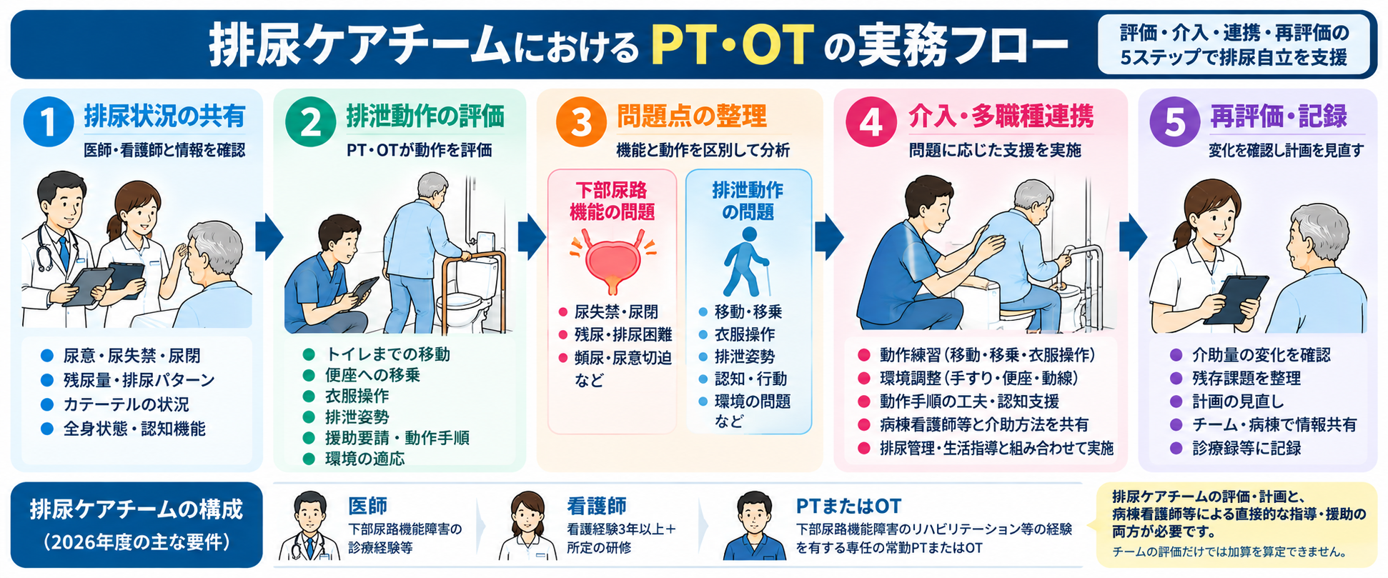 排尿ケアチームにおけるPT・OTの実務フロー。排尿状況の共有、排泄動作の評価、下部尿路機能と排泄動作の問題点整理、介入・多職種連携、再評価・記録の5ステップを示す図